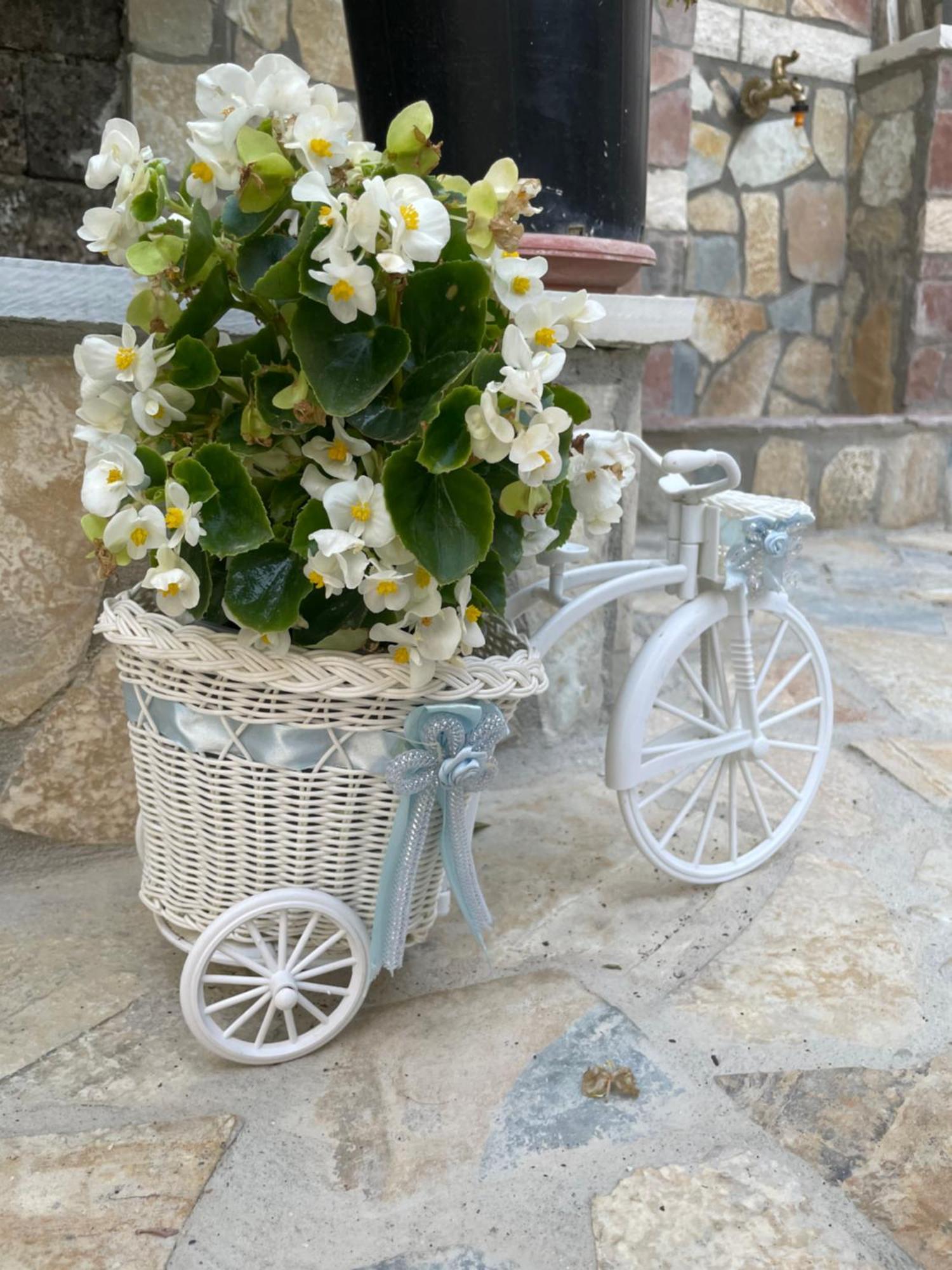 Luigi Guest House Gjirokastër Dış mekan fotoğraf