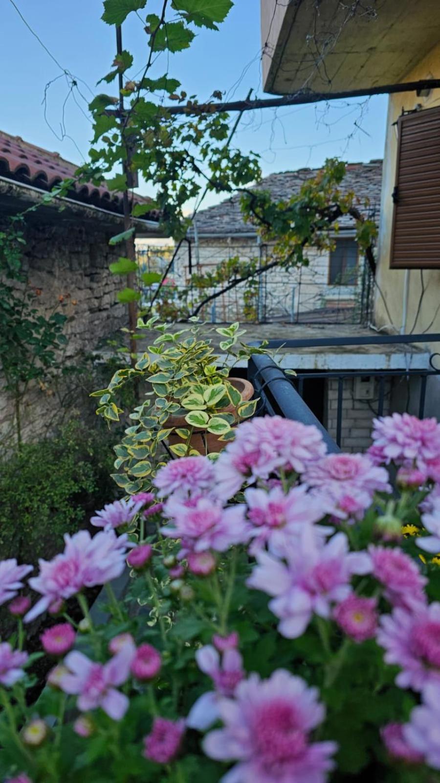 Luigi Guest House Gjirokastër Dış mekan fotoğraf